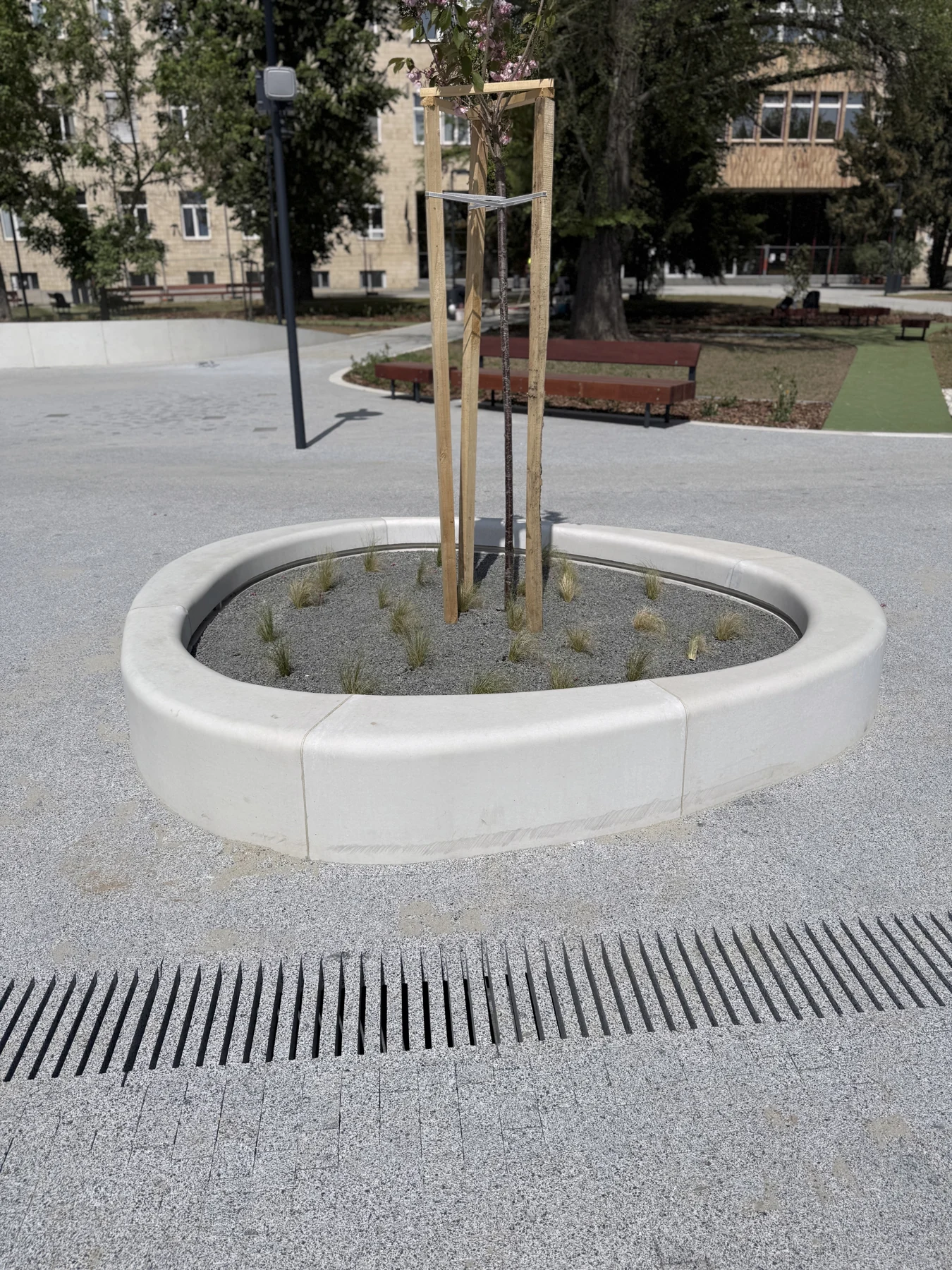 PTE ÁOK déli park — Aszimmetrikus finombeton favermek, hat elemből összeállítva, a világítás helyével együtt kialakítva.