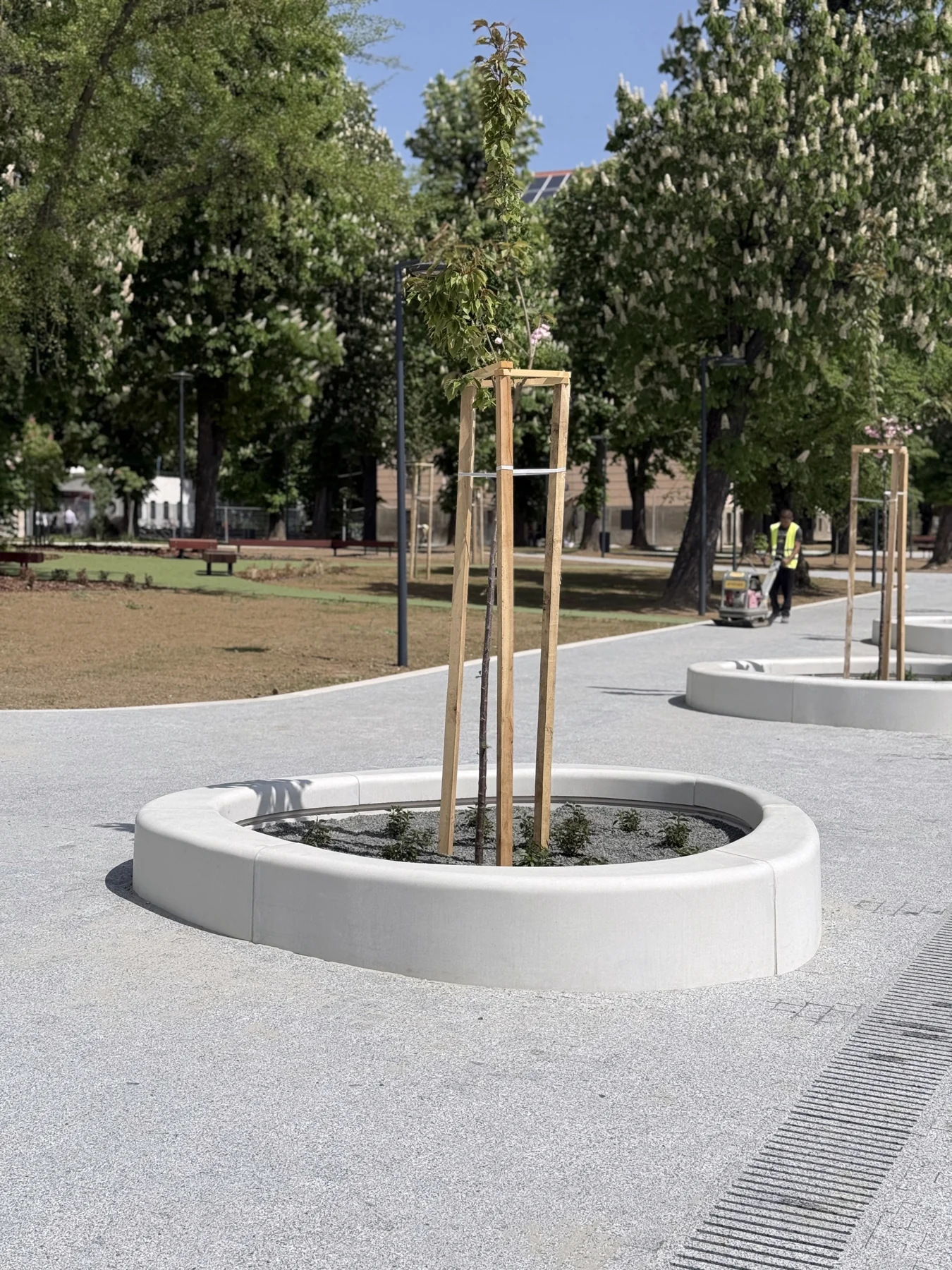 Aszimmetrikus favermek a park sétánya mentén.